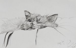 Monty endormi